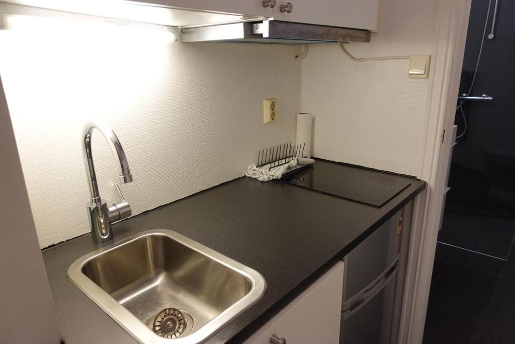 Appartement Just Behind The Royal Palace Oslo